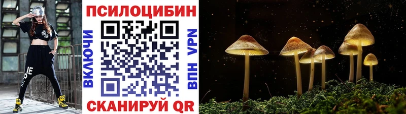 Галлюциногенные грибы Psilocybe  Катайск 